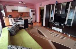 Apartament la pret oportun, 50 mp, zona Eroilor