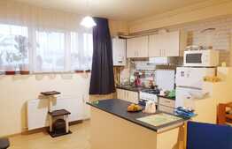 Apartament 2 camere, 43mp, zona strazii Ioan Rus!