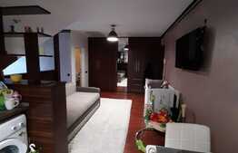 Finisaje moderne, loc de parcare, spatiu de depozitare, zona Florilor