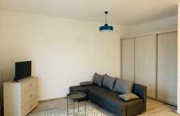 Garsoniera 32 mp, terasa 12 mp, totul nou, prima inchiriere, zona Piata Abator