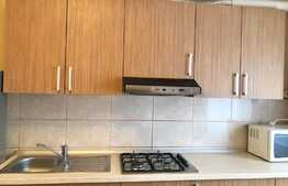 Apartament 2 camere, decomandate, 56 mp, zona strazii Dunarii