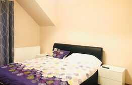 Apartament 2 camere, 52mp, decomandat, parcare, zona Muzeul Apei