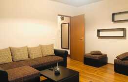 Apartament 2 camere, 52mp, decomandat, parcare, zona Muzeul Apei