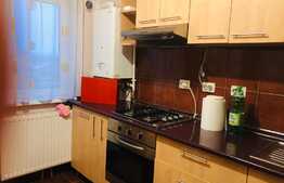 Apartament 2 camere, 52mp, decomandat, parcare, zona Muzeul Apei