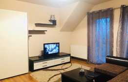 Apartament 2 camere, 52mp, decomandat, parcare, zona Muzeul Apei