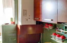 Oportunitate de investitie !  Garsoniera spatioasa, zona Piata Marasti !