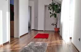  Casa individuala, 4 camere, 409 mp teren, situata in Sannicoara