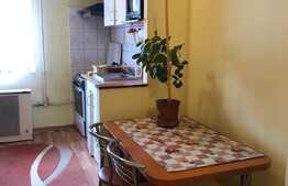 Garsoniera 15 mp, zona Kaufland, disponibila doar pana in 1 Iulie