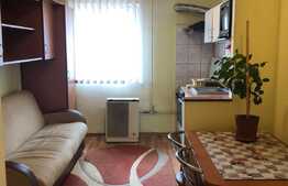 Garsoniera 15 mp, zona Kaufland, disponibila doar pana in 1 Iulie