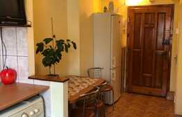 Garsoniera 15 mp, zona Kaufland, disponibila doar pana in 1 Iulie