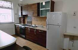 4 camere, 2 nivele, 113 mp, zona Terra