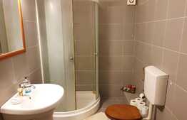 Apartament cu 1 camera, decomandat, 37 mp, zona strazii Florilor!