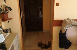 Apartament 3 camere, etaj intermediar, garaj, boxa, zona Calea Floresti 