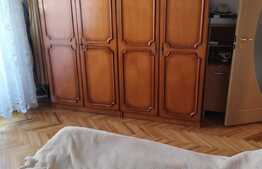 Apartament 3 camere, etaj intermediar, garaj, boxa, zona Calea Floresti 