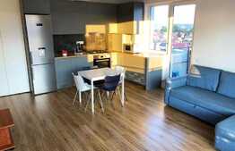 Apartament 2 camere, 45 mp, mobilat modern, parcare, zona strazii Oasului