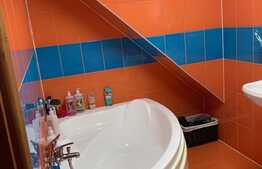 Duplex de 100 mp utili, teren de 150 mp, garaj, zona Somesului