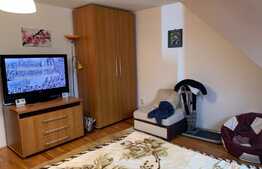 Duplex de 100 mp utili, teren de 150 mp, garaj, zona Somesului