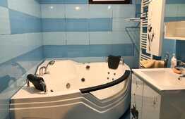 Apartament 2 camere, 50 mp, terasa 20 mp, parcare, zona strazii Mircea Eliade