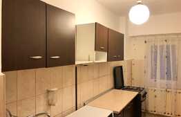 Apartament 1 camera, decomandat, 44 mp, zona USAMV