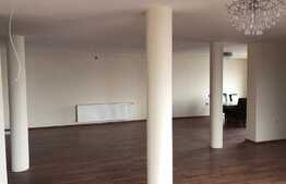 Imobil nou, elegant pentru birouri