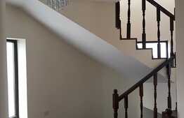 Imobil nou, elegant pentru birouri