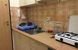 Apartament 1 camera, 25 mp, zona FSEGA