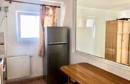 Apartament 1 camera, 40 mp, decomandata, pet friendly, zona UMF