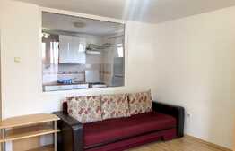 Apartament 1 camera, 40 mp, decomandata, pet friendly, zona UMF