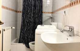 Apartament 1 camera, 40 mp, decomandata, pet friendly, zona UMF