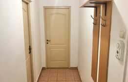 Apartament 1 camera, 40 mp, decomandata, pet friendly, zona UMF