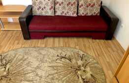 Apartament 1 camera, 40 mp, decomandata, pet friendly, zona UMF