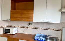 Apartament 1 camera, 40 mp, decomandata, pet friendly, zona UMF