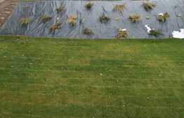 Casa individuala, 271 mp utili, 2200 mp teren, incalzire in pardoseala, finalizata!