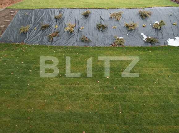 Casa de vânzare 6 camere Făget - 48125CV | BLITZ Cluj-Napoca | Poza8