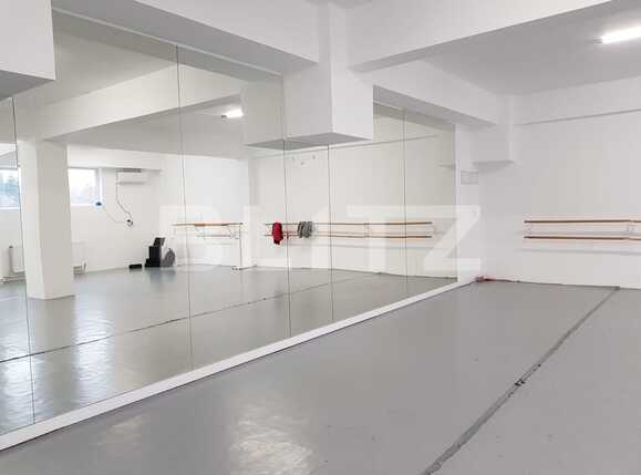 Spațiu comercial de închiriat Gheorgheni - 48130SIC | BLITZ Cluj-Napoca | Poza6