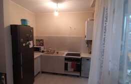 Gradina 70 mp, 2 bai, terasa, balcon, loc de parcare, zona Sub cetate