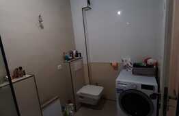 Gradina 70 mp, 2 bai, terasa, balcon, loc de parcare, zona Sub cetate