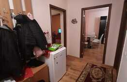 Pret oportun, gradina, parcare, balcon, decomandat, zona Eroilor