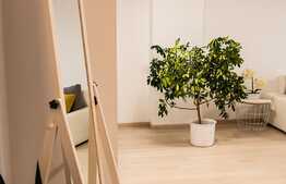 Apartament 2 camere, 55 mp, terasa lux, zona P-ta Marasti