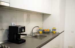 Apartament 2 camere, 55 mp, terasa lux, zona P-ta Marasti