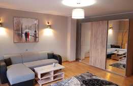 Apartament 2 camere, totul nou, parter inalt, 54mp, zona strazii Tineretului!