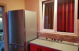 Apartament 2 camere, totul nou, parter inalt, 54mp, zona strazii Tineretului!