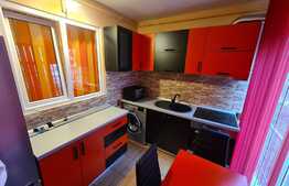 Apartament 2 camere, totul nou, parter inalt, 54mp, zona strazii Tineretului!