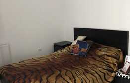 Vrei sa te muti intr-un apartament la cheie? Am exact ceea ce cauti!!!