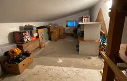 3 camere, 58mp, mobilat, zona Florilor