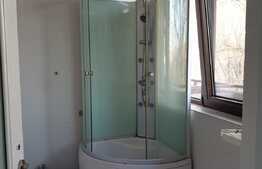 Apartament 1 camera cu suprafata generoasa, zona strazii Plopilor