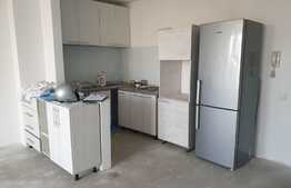 Apartament 1 camera cu suprafata generoasa, zona strazii Plopilor