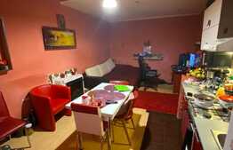 3 camere, 51mp, mobilat, zona Florilor