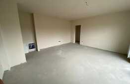 Apartament 2 camere, 46 mp, semifinisat, zona Teilor