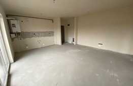 Apartament 2 camere, 46 mp, semifinisat, zona Teilor